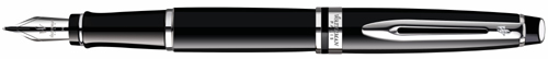 Waterman Expert fountain pen.