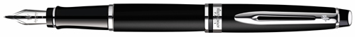 Matt black Waterman Expert fountain pen with silver trim.